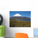 Vulkan Parinacota Am Chungara Wall Decal Design 2