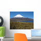 Vulkan Parinacota Am Chungara Wall Decal Design 2