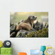 Marmot Wall Mural