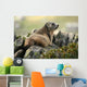 Marmot Wall Mural
