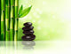 Spa background with bamboo and stones. Vector illustration. 