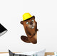 Beaver 