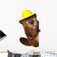 Beaver 