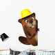 Beaver 