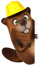 Beaver 