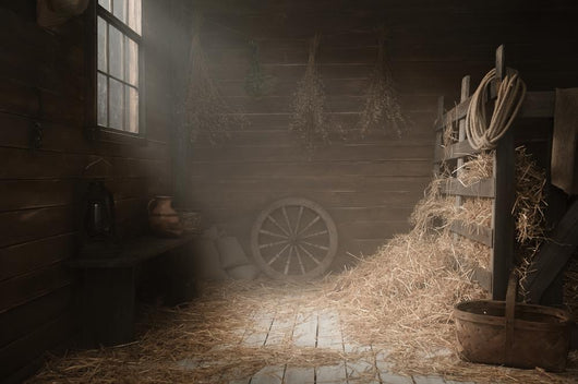 Scenery in the village barn studio 