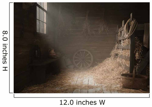 Scenery in the village barn studio 