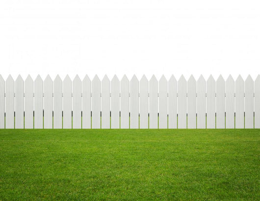Front or back yard, white wooden fence on the grass Wall Mural