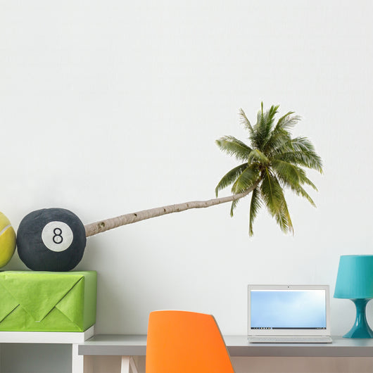 Palm Tree Isolated on White Background 