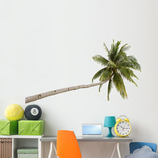 Palm Tree Isolated on White Background 