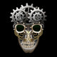 Steam Punk Skull 
