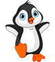 Cartoon baby penguin Wall Decal