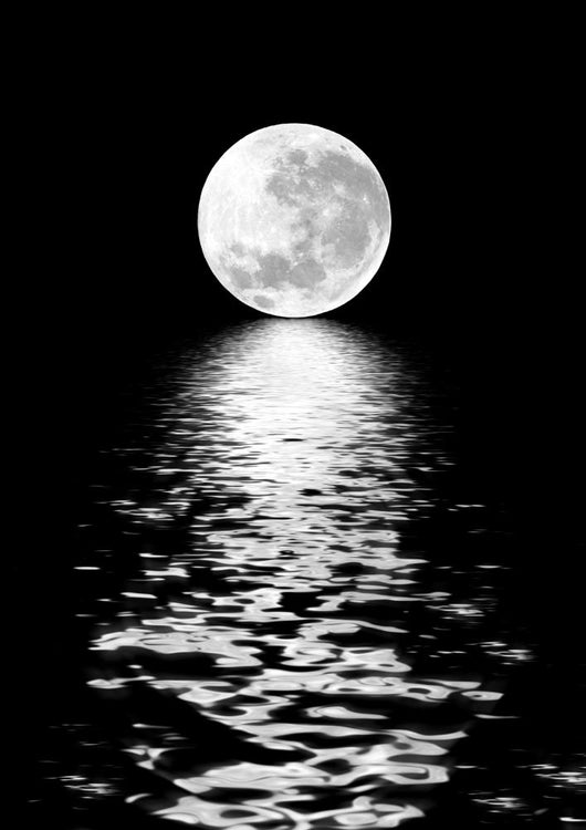 Moon Beauty Wall Mural