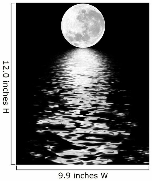 Moon Beauty Wall Mural