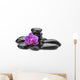 orchid 