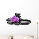 orchid 