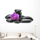 orchid 