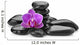 orchid 