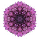 Kaleidoscopic Chrystanthemum Flower Mandala Wall Decal
