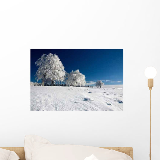 Winter Landscape 61 Wall Decal