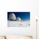 Winter Landscape 61 Wall Decal
