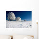 Winter Landscape 61 Wall Decal