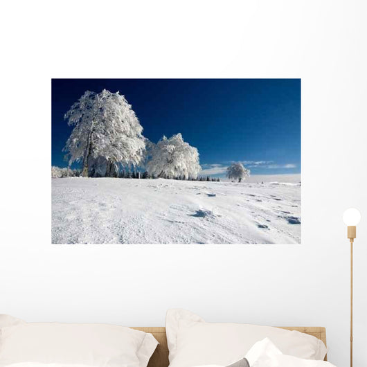 Winter Landscape 61 Wall Decal