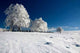 Winter Landscape 61 Wall Decal