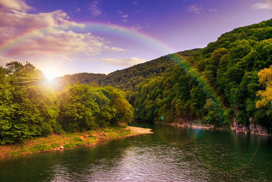 river flows by rocky shore near the autumn mountain forest Wall Mural