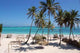 Caribbean Sea and Coconut Wall Decal