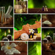 spa mix 