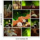 spa mix 