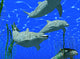 Dolphins Under Water Wall Mural