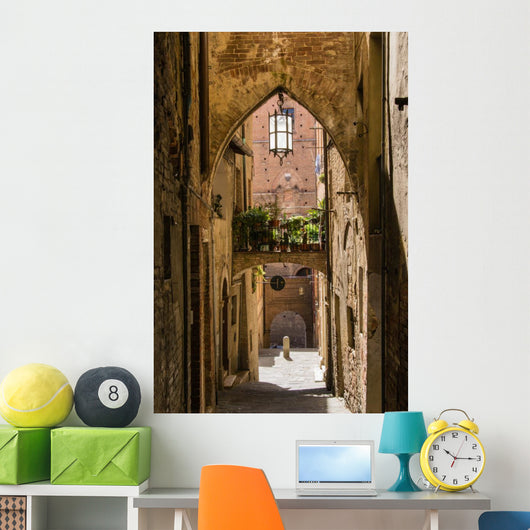 Siena - Tuscany - Italy 