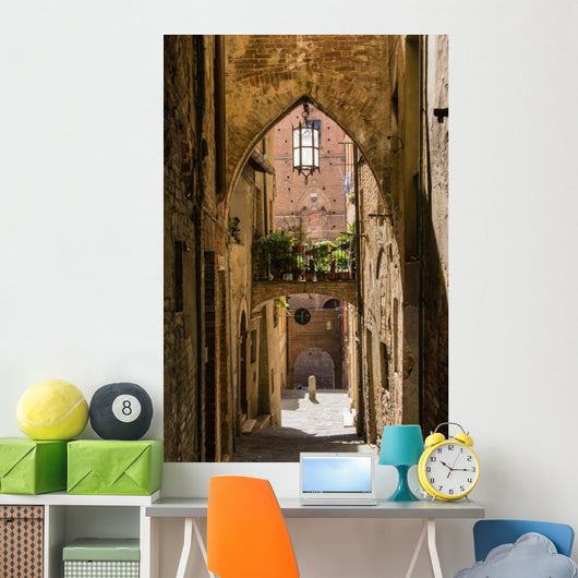 Siena - Tuscany - Italy 