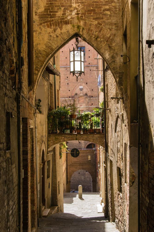 Siena - Tuscany - Italy 
