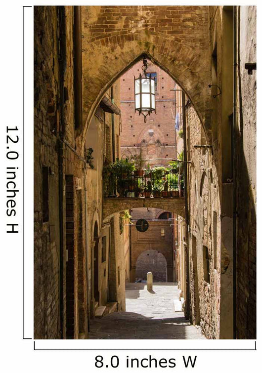 Siena - Tuscany - Italy 
