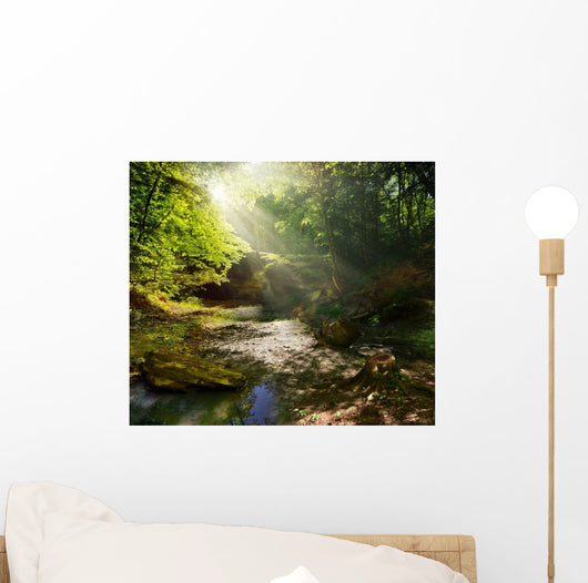 fairy Tale Forest 