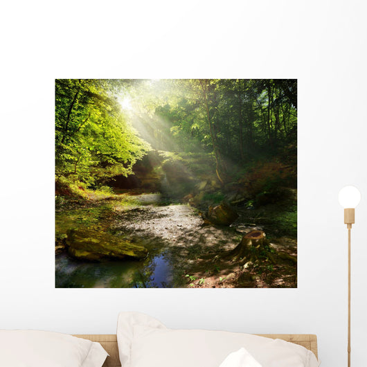 fairy Tale Forest 