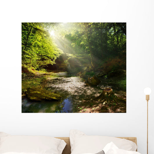 fairy Tale Forest 