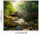 fairy Tale Forest 