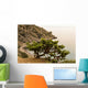 Juniper Crimea Coast Wall Mural