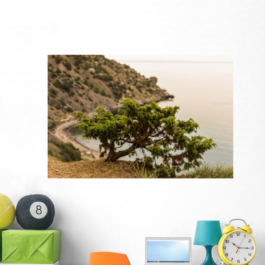 Juniper Crimea Coast Wall Mural