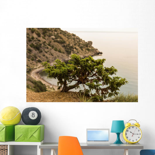 Juniper Crimea Coast Wall Mural
