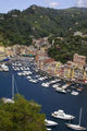 Portofino Wall Decal Design 1