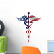 Caduceus Medical Symbol with USA Flag Illustration 