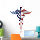 Caduceus Medical Symbol with USA Flag Illustration 