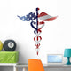 Caduceus Medical Symbol with USA Flag Illustration 