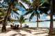 Palms on motu in french polynesia 