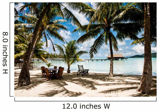 Palms on motu in french polynesia 